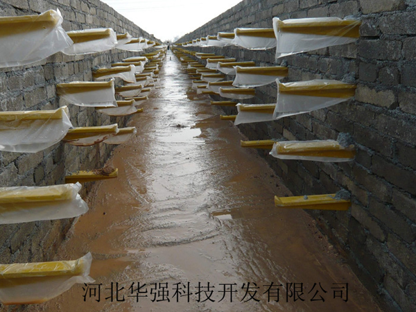 �A��ʽ��|֧��